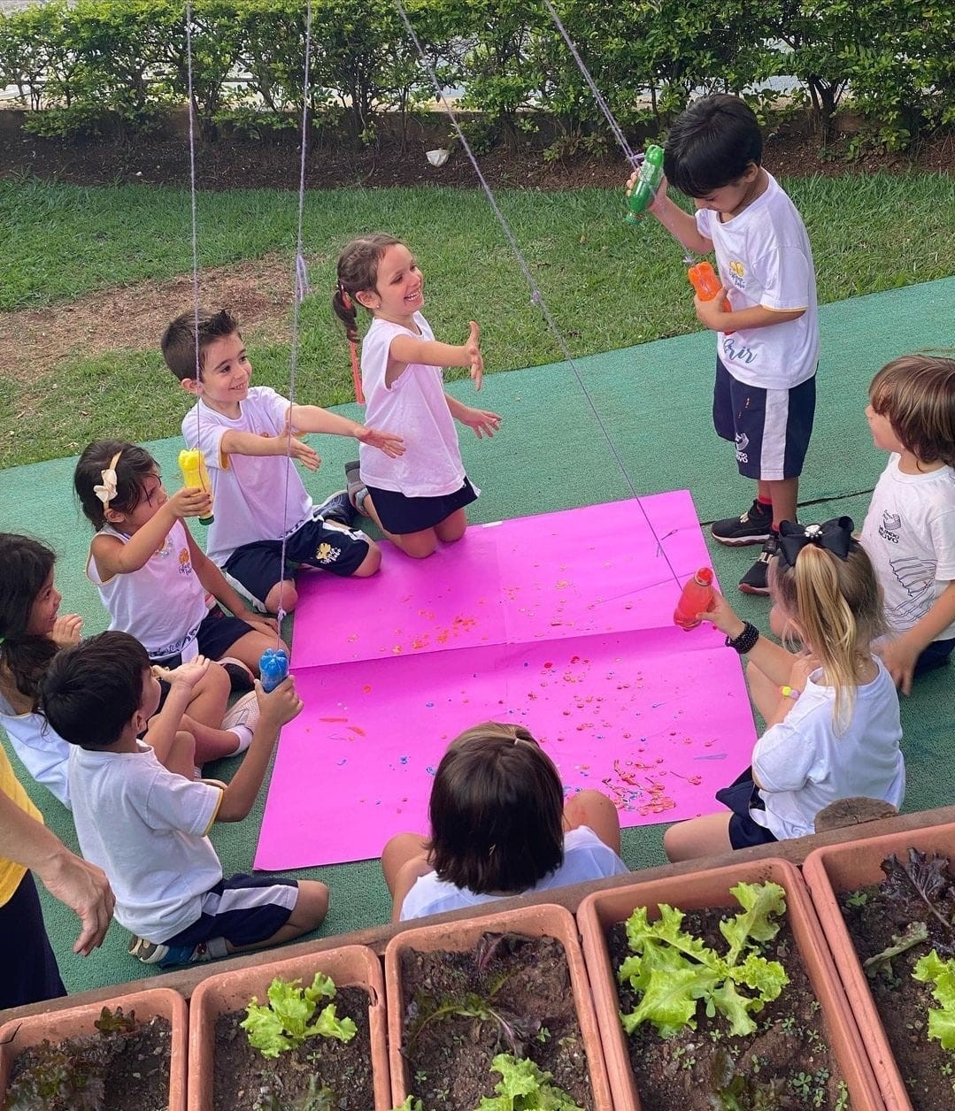 Alimentação 